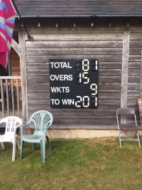 Grannies G.LEE with 119 run victory over Armadillos Grannies G.LEE with 119 run victory over Armadillos